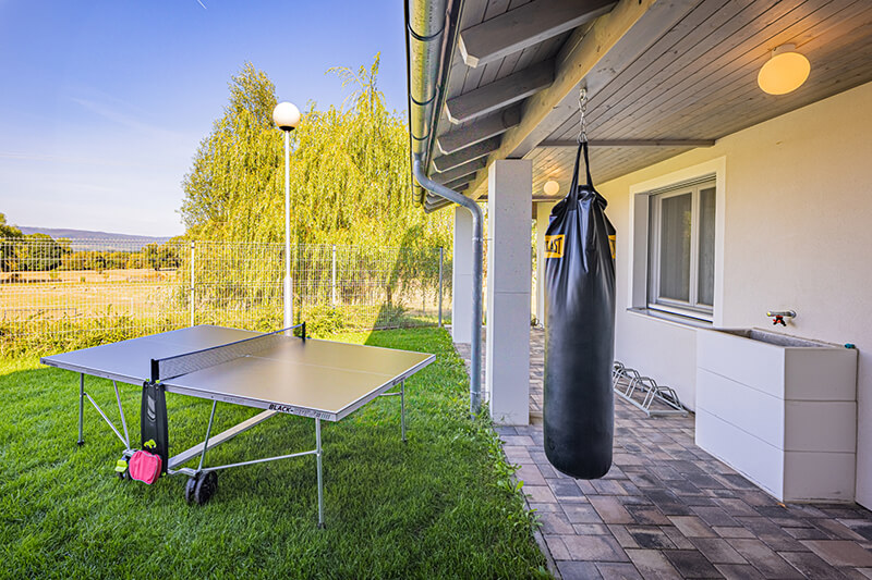 ping-pong